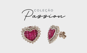 Brinco da Coleção Passion